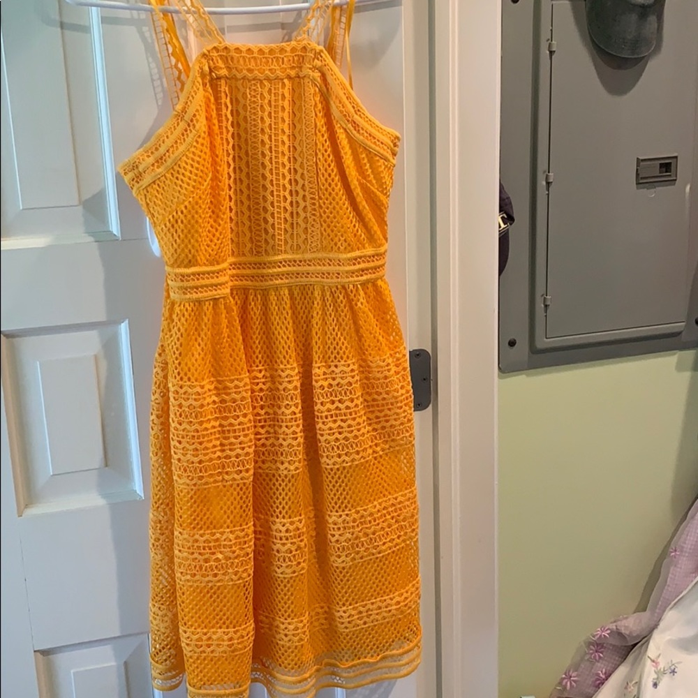Gianni bini: Golden yellow lace dress